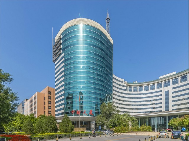 上海狗狗宠物聚会哪家专业